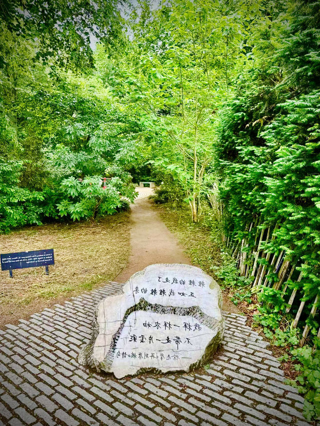 🛶 在康河柔波裡當條水草——英國劍橋大學+劍河撐篙(Punting)攻略