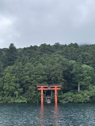 Hakone | Slow Down Your Pace and Enjoy a Healing Journey of Mountains, Forests, and Hot Springs.
