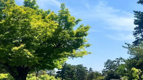 7일 여름 일본 여행 가이드, 정말 유용해요! — traveler post in 구조