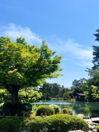 7일 여름 일본 여행 가이드, 정말 유용해요!