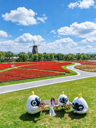 Yuhuan flower sea is perfect for photos on vacation