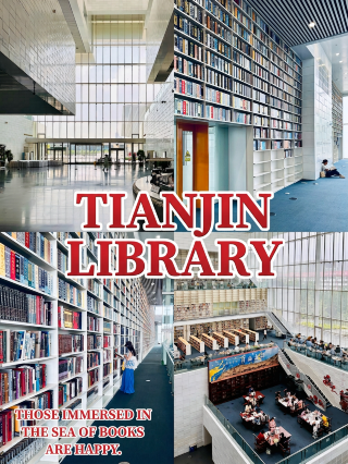 Quiet moments immersed in a vast sea of books at Tianjin Library