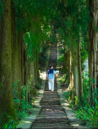 หนีออกจากเฉิงตูได้ภายใน 1 ชั่วโมงครึ่ง! ฉันหลงใหลในไร่ชาที่สวยงามและถนนโบราณแห่งนี้อย่างที่สุด