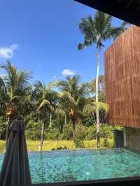 Perfect Getaway at Unagi Wooden Villas