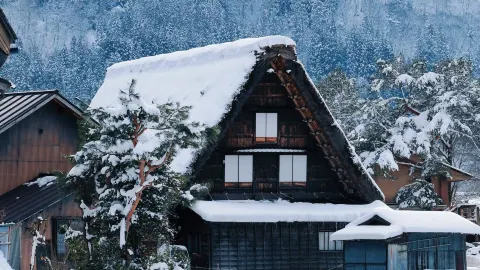 7일 일본 여행 공략, 빨리 저장하세요! — traveler post in 구조
