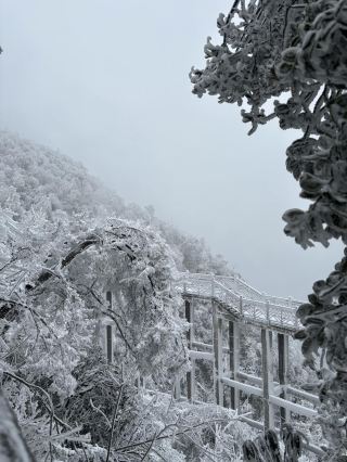 장자제 보물 민박, 기분이 날아갈 듯해!