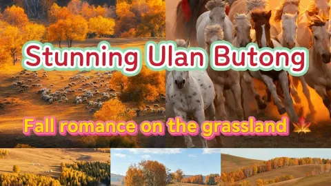 Ride horses across the grasslands and take in the autumn scenery — traveler post in Chengde
