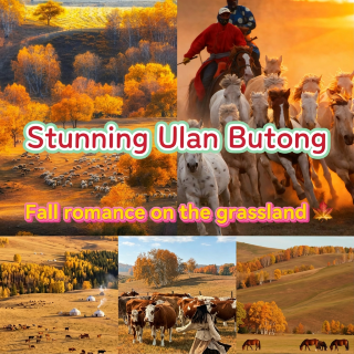 Ride horses across the grasslands and take in the autumn scenery