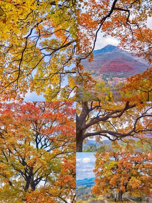 4 Chill, Lesser-Known Cities in Shandong, Just a 1-Hour High-Speed Train Ride Away