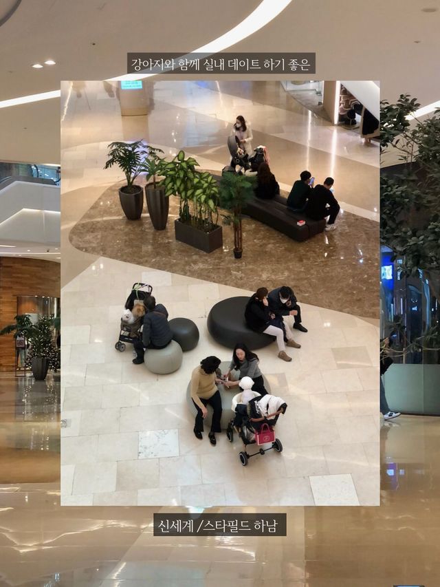 반려동물 동반 가능한 실내 데이트 코스 추천 ‘하남 스타필드’ 🐶🛍️