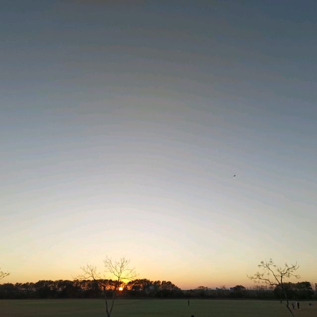 高屏舊鐵橋 夕陽餘暉美不勝收