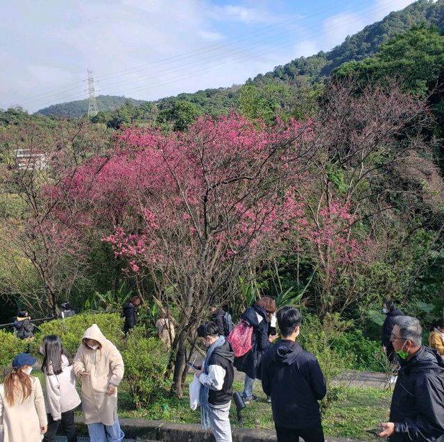 腳底發麻【台北文山】貓空水晶纜車之旅