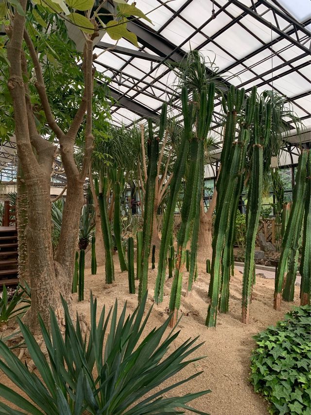 인천 피크닉하면서 선인장과 식물들 볼 수 있는 수목원 온실🌵 [인천_인천대공원수목원온실]