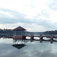 Lower Peirce in Cloudy Conditions…