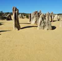 The Pinnacles Desert - Perth, Australia