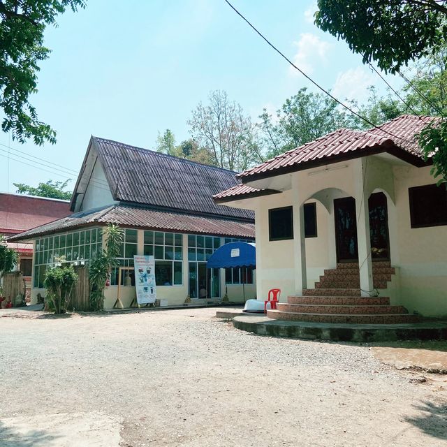 วัดสันห้างเสือ 