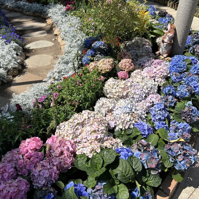 城市綠洲賞花