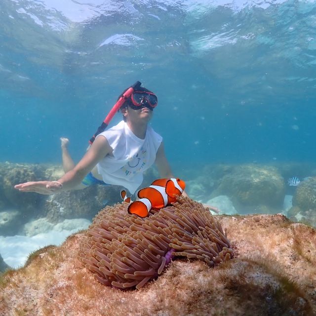 ดำน้ำอ่าวแสมสารร  🐠