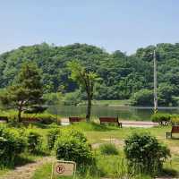 🏞 평일에만 여는 파주 신상 카페 '모쿠슈라'🏞