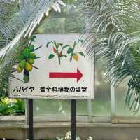 親子で体験しながら学ぼう！バナナワニ園