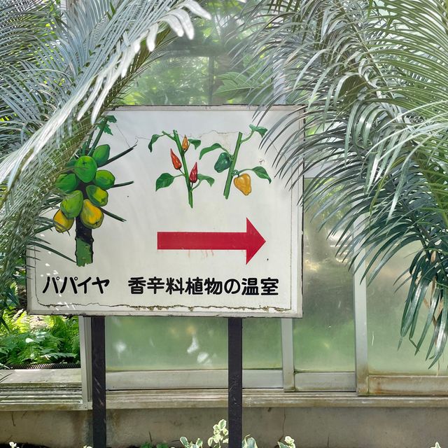 親子で体験しながら学ぼう！バナナワニ園