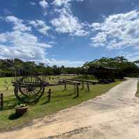 沖繩Bios之丘，遼闊草原、園區導覽、適合全家出遊。