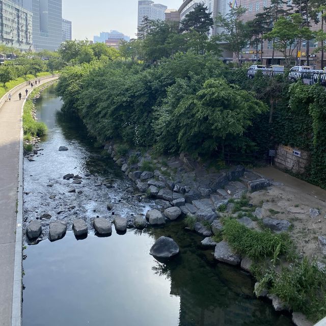 เดินเล่นริมคลอง Cheonggyecheon เกาหลีใต้