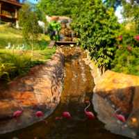 หลงสวน คาเฟ่ท์  ยกภูเขามาไว้ตรงนี้!!