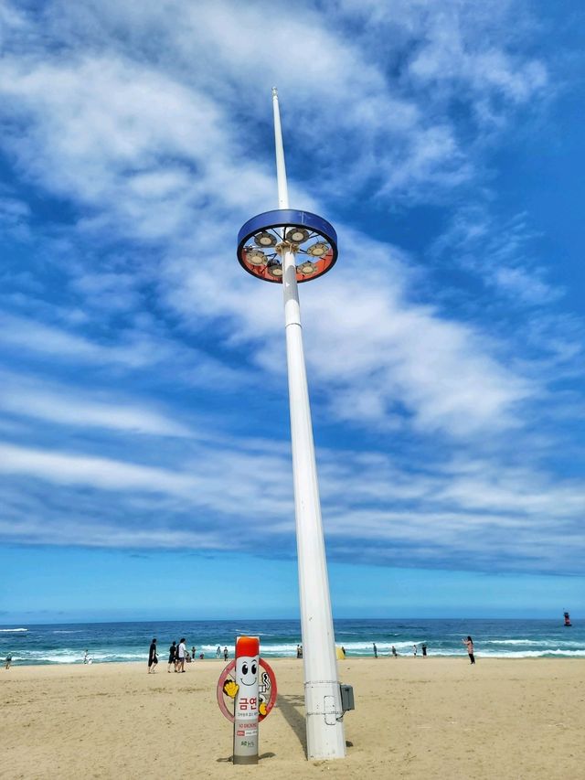 날씨 좋은날엔 강릉 경포해변🏖하세요!