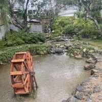 YuuBaan Studio ร้านอาหารและคาเฟ่สำหรับเด็ก