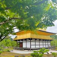ตะลุย วัดคินคะคุจิ (Kinkakuji Temple) ที่ญี่ปุ่น