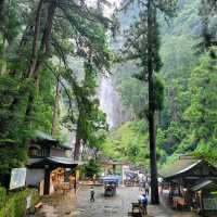 熊野古道體驗日本優美行山徑