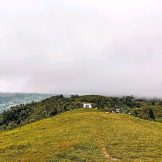 세부 남부의 놀라운 봉우리!