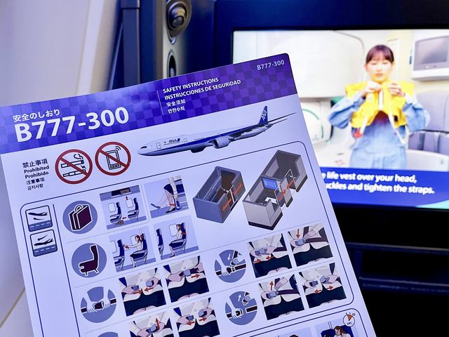 【NH】ニューヨーク→羽田 ビジネスクラス✈️