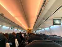 北海道から愛知へ JALでひとっ飛び!快適空の旅