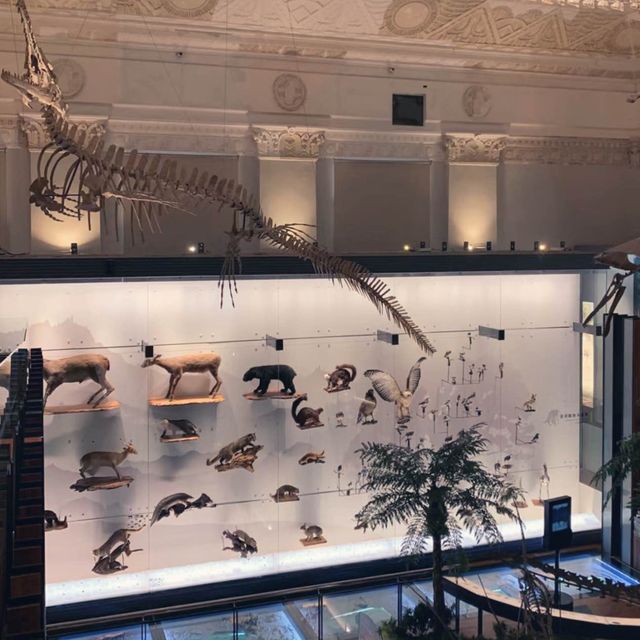 台北恐龍館-台灣博物館(古生物館)