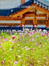 【韓国旅行】ソウル・恩平韓屋村✨美しい街並みに感動🥹
