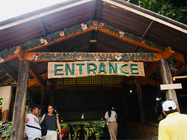 Exploring the Tarsier Sanctuary in Bohol