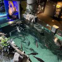 Dive in at Aquaria KLCC