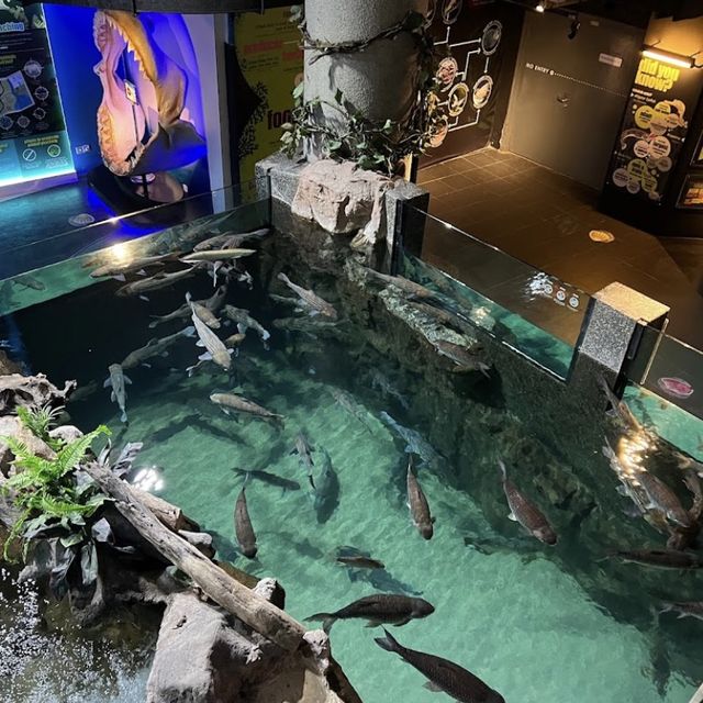 Dive in at Aquaria KLCC