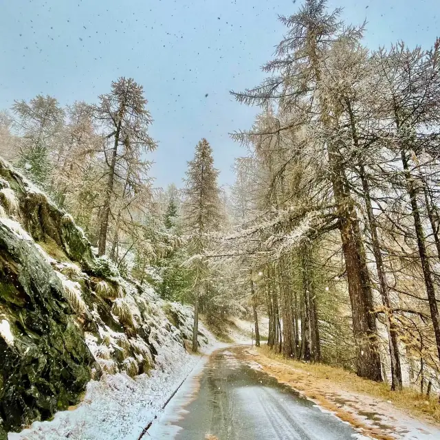 Winter Bliss: Family Frolic Trail