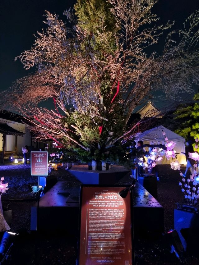 Nijo Castle Night Festival