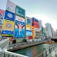 【大阪 道頓堀】道頓堀 お好み焼き 特選オススメの店舗✨