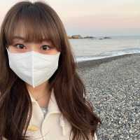 경주 여행 코스: 문무대왕릉-황남비빕밥🌊