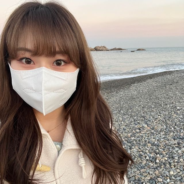 경주 여행 코스: 문무대왕릉-황남비빕밥🌊