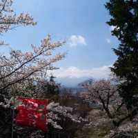 朝聖富士山第一景 新倉山淺間公園(part2)