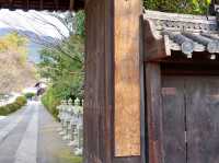 【京都市】艶やかなアートが誘うお寺🎨