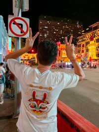 Rabbit Lanterns @SG Chinatown 