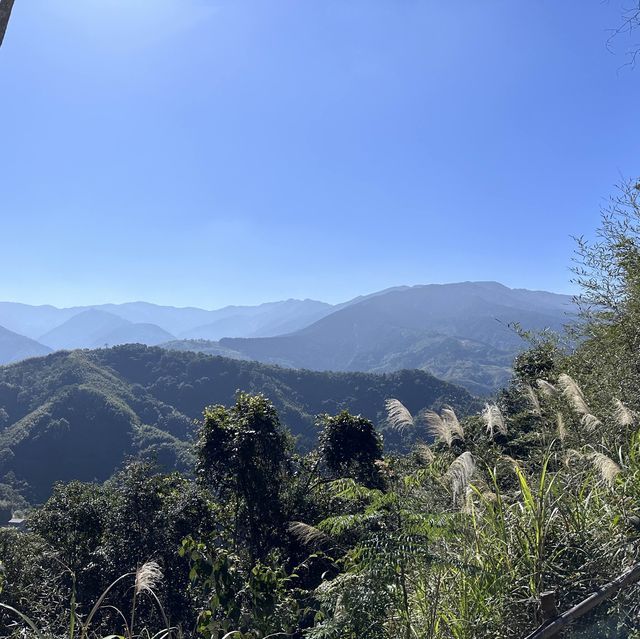 露營樂-馬胎館
