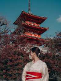 Pagodas in the temples of Japan 🇯🇵